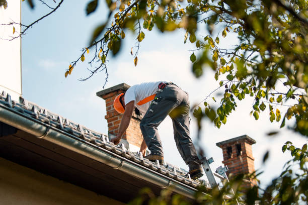 Best Flat Roof Repair Services  in Anamosa, IA