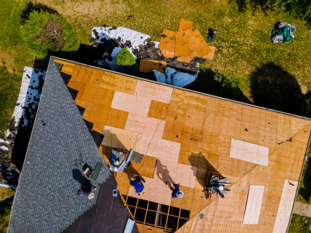 Best Metal Roofing Contractor  in Anamosa, IA