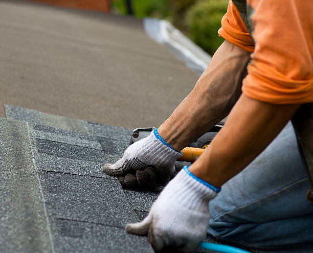 Best Storm Damage Roof Repair  in Anamosa, IA